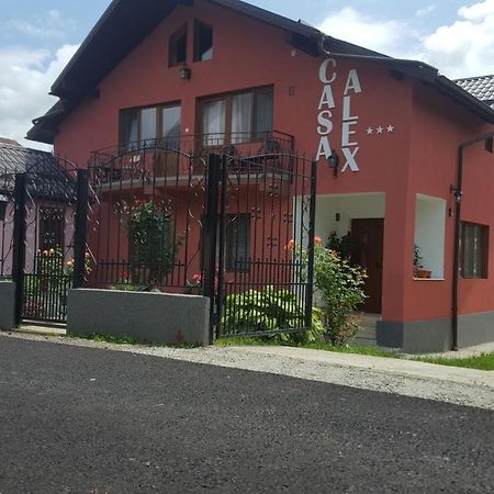 فندق Călimăneştiفي  Vila Alex المظهر الخارجي الصورة