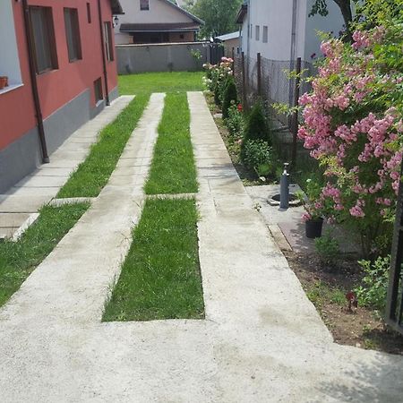 فندق Călimăneştiفي  Vila Alex المظهر الخارجي الصورة