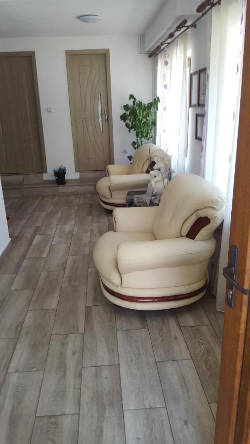 فندق Călimăneştiفي  Vila Alex المظهر الخارجي الصورة