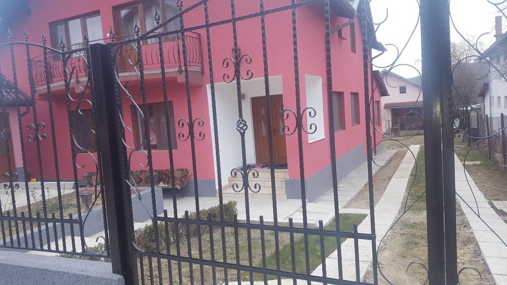 فندق Călimăneştiفي  Vila Alex المظهر الخارجي الصورة