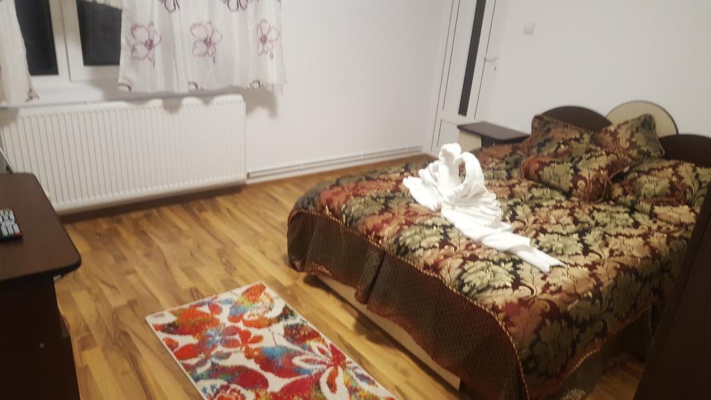 فندق Călimăneştiفي  Vila Alex المظهر الخارجي الصورة