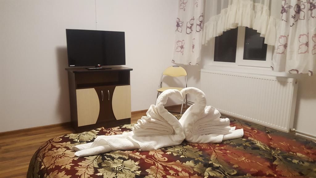 فندق Călimăneştiفي  Vila Alex المظهر الخارجي الصورة