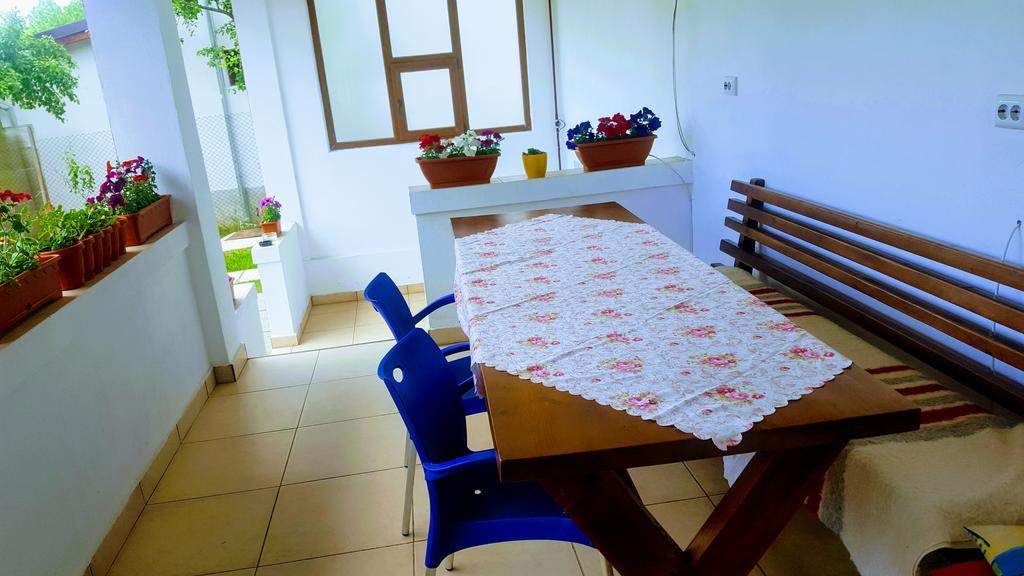 فندق Călimăneştiفي  Vila Alex المظهر الخارجي الصورة