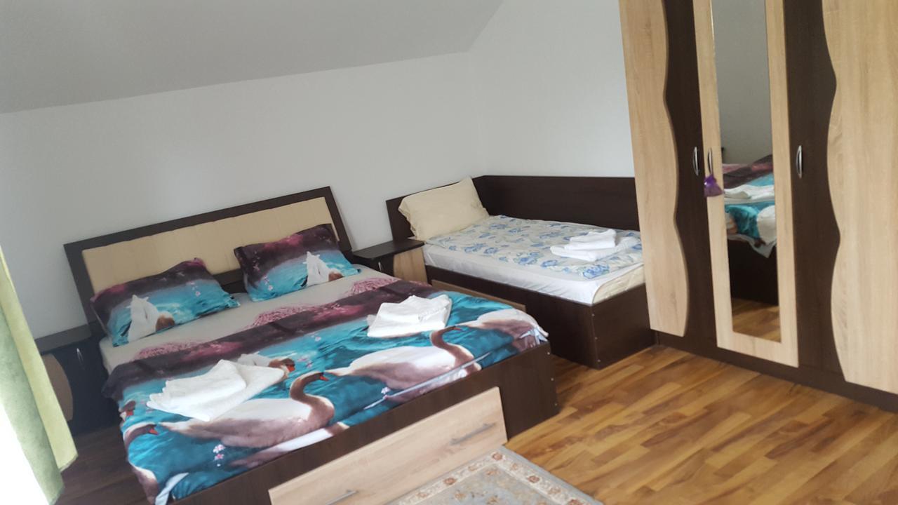 فندق Călimăneştiفي  Vila Alex المظهر الخارجي الصورة