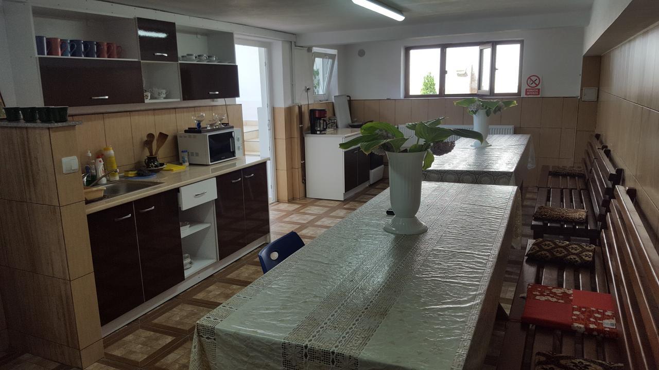 فندق Călimăneştiفي  Vila Alex المظهر الخارجي الصورة